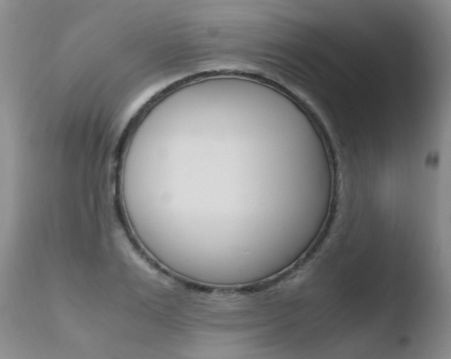 X0000110770983200906150950