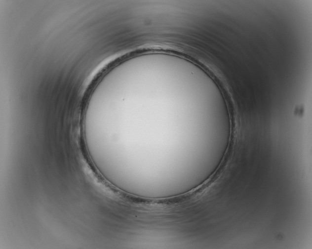 X0000110770984200906150950