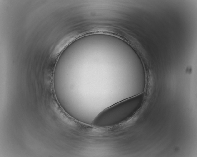 X0000110770985200906150950