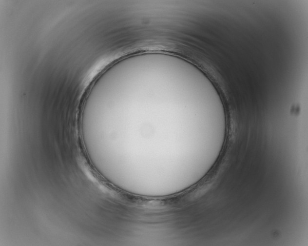 X0000110770986200906150950