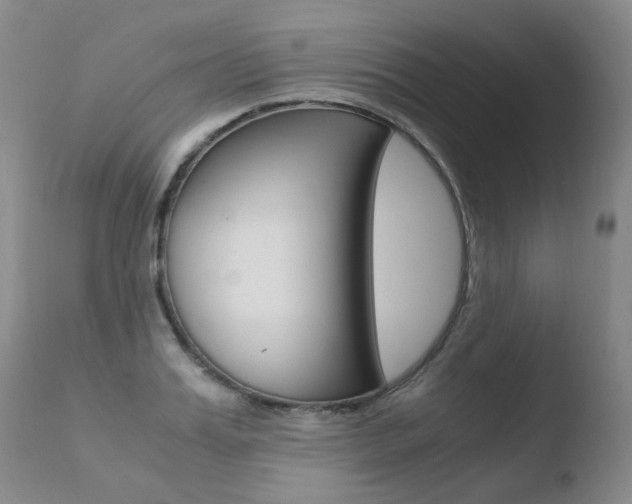 X0000110770987200906150950