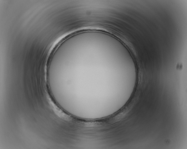 X0000110770988200906150950