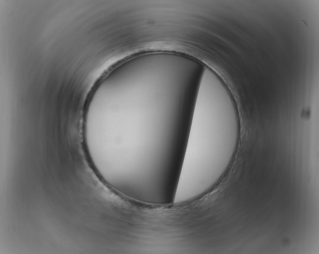 X0000110770992200906150950