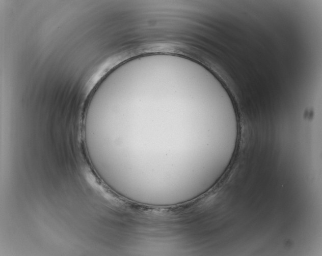 X0000110770994200906150950