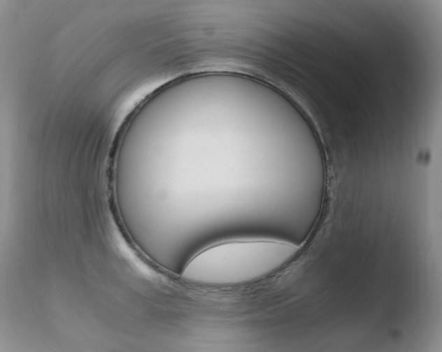X0000110770995200906150949