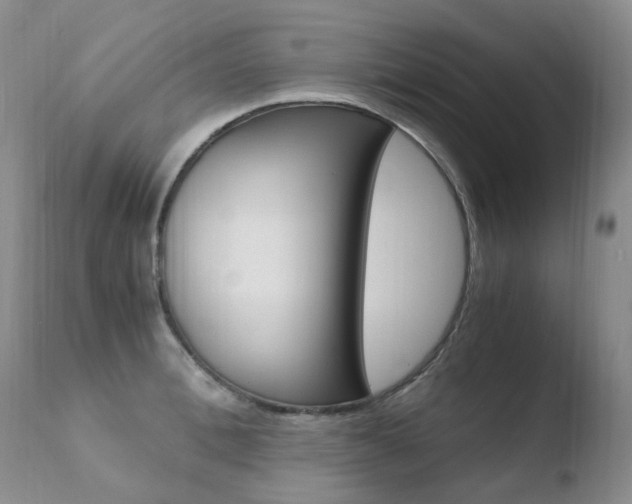 X0000110770996200906150949