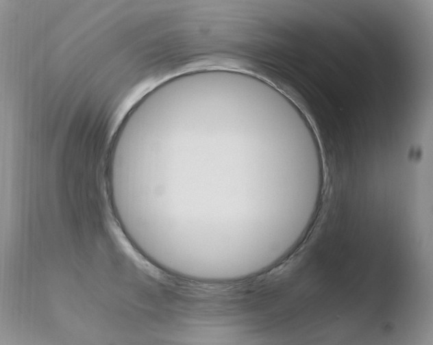 X0000110770997200906150949