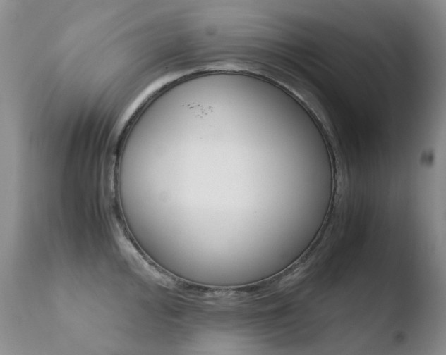 X0000110771000200906150949