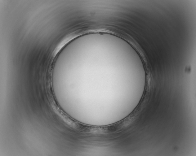 X0000110771002200906150949