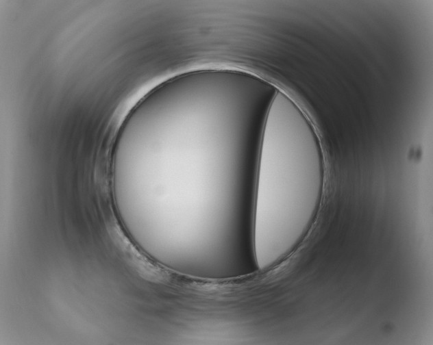 X0000110771004200906150949