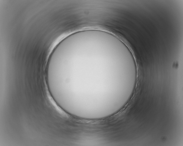 X0000110771005200906150949