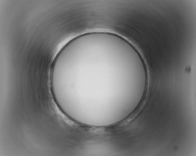 X0000110771006200906150949