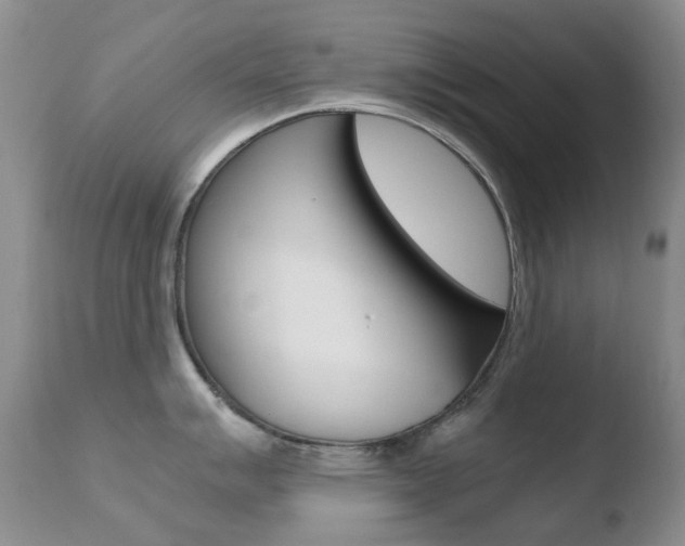 X0000110771007200906150949