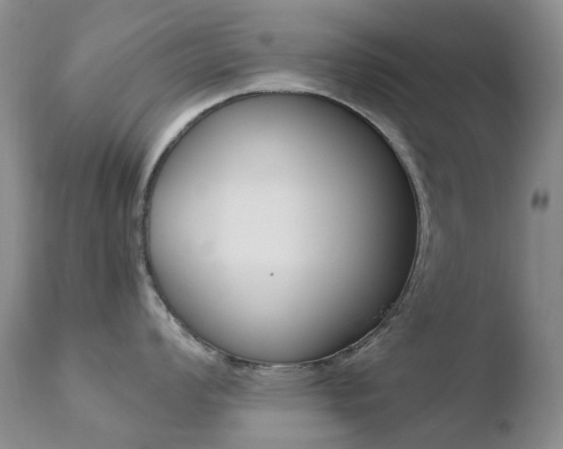 X0000110771008200906150949