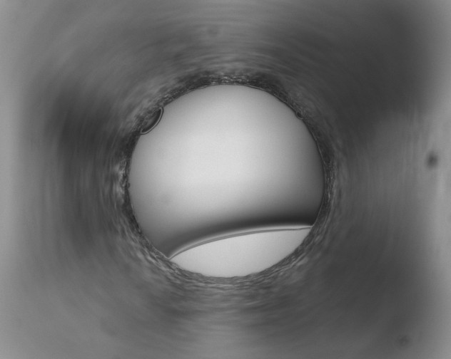 X0000110771010200906150949