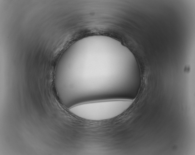 X0000110771012200906150949