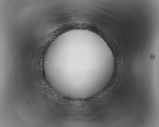 X0000110771013200906150949