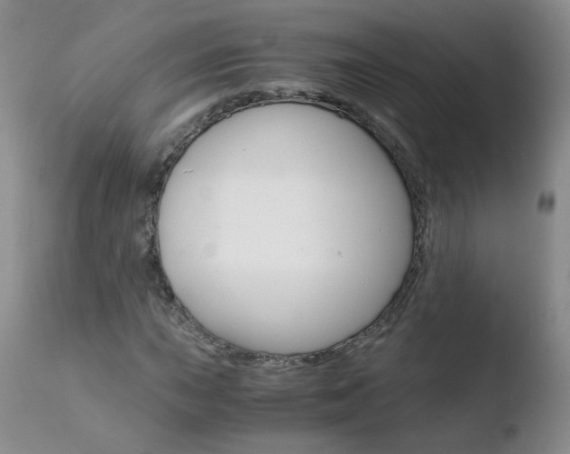 X0000110771015200906150949