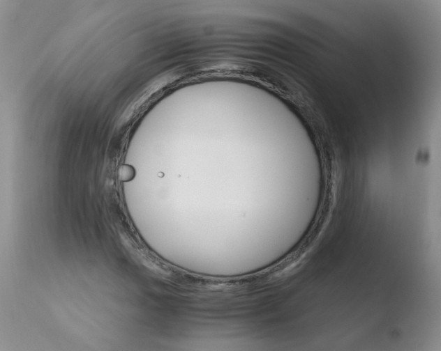 X0000110771017200906150949