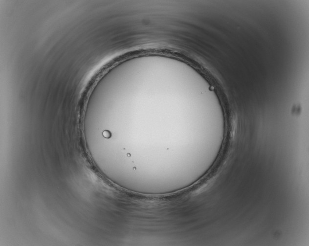 X0000110771021200906150949