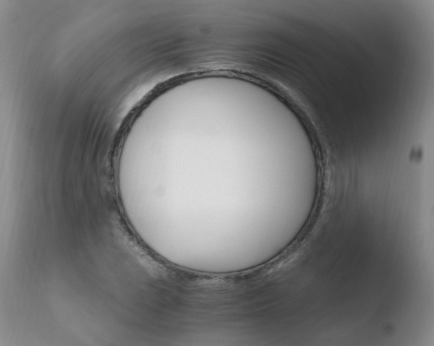X0000110771023200906150949
