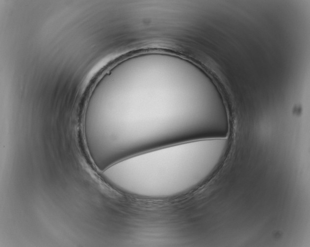 X0000110771024200906150949