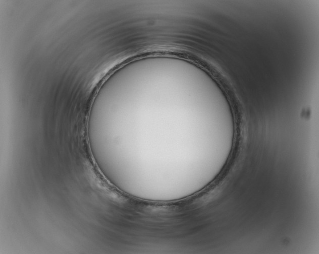 X0000110771025200906150949