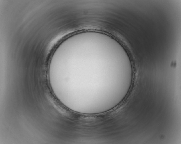 X0000110771027200906150949