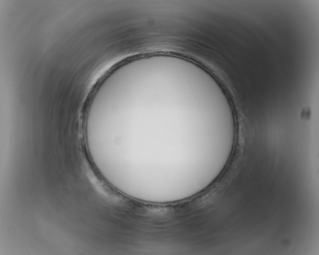 X0000110771031200906150949