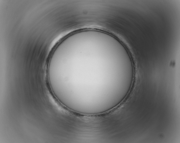 X0000110771032200906150949