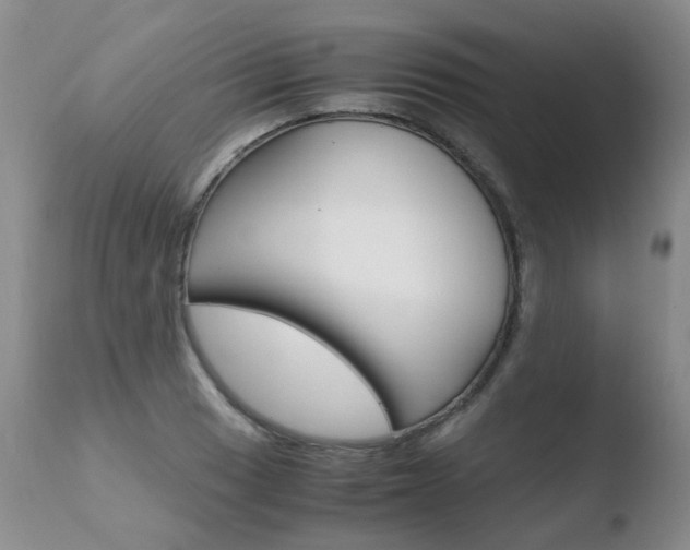 X0000110771033200906150949