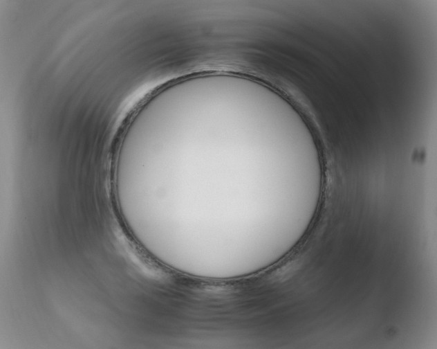 X0000110771035200906150949