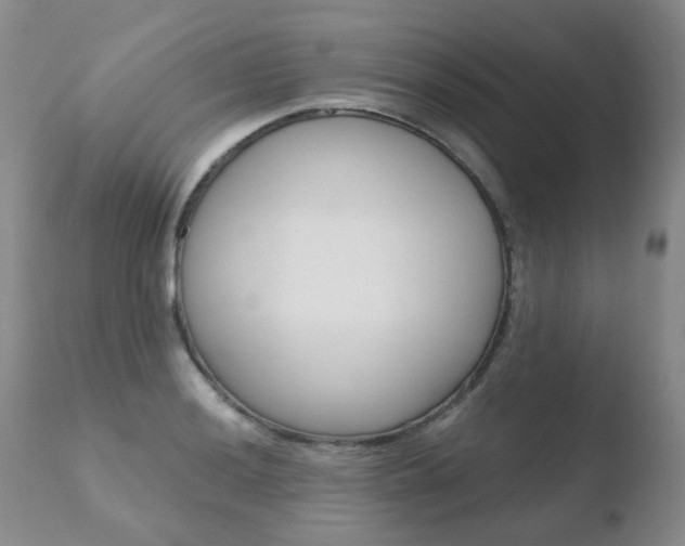 X0000110771036200906150949