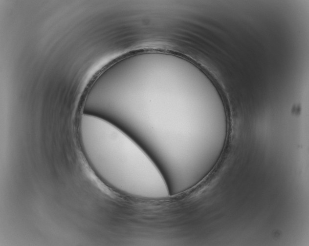 X0000110771037200906150949