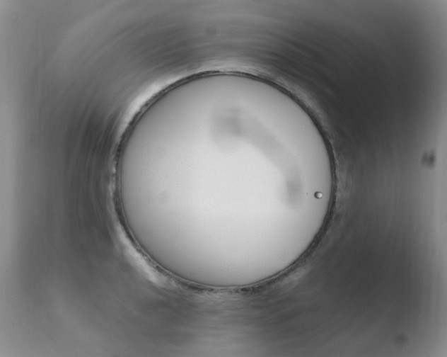 X0000110771040200906150949