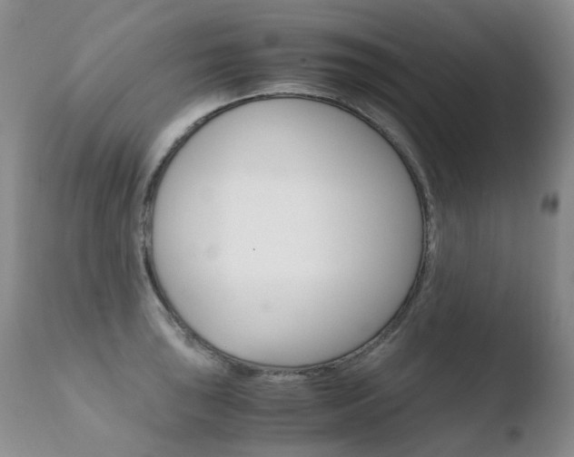 X0000110771043200906150949