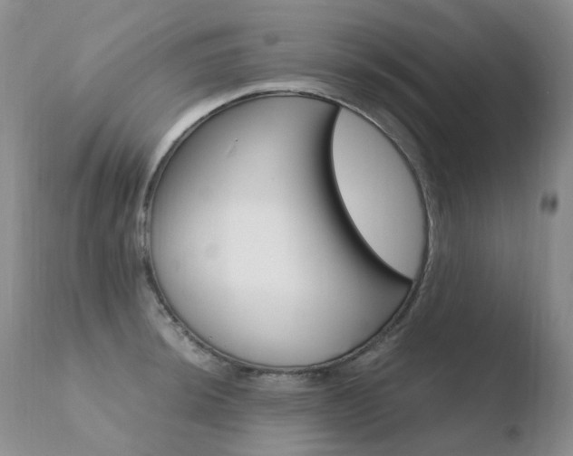 X0000110771044200906150949