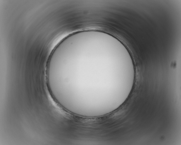 X0000110771047200906150949