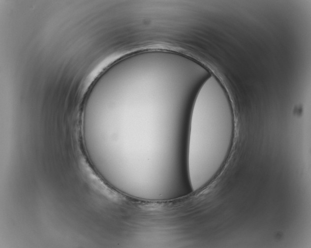X0000110771048200906150949