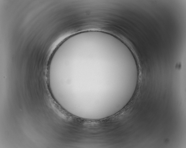 X0000110771051200906150949