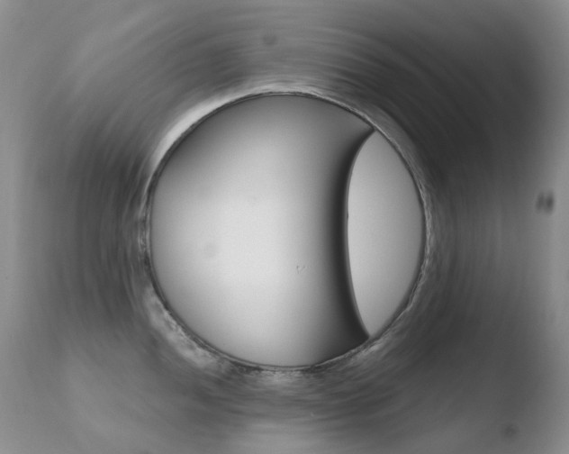 X0000110771052200906150949