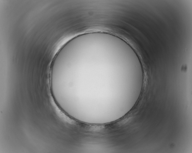 X0000110771055200906150949