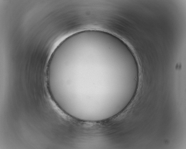 X0000110771056200906150949
