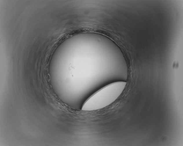 X0000110771057200906150949