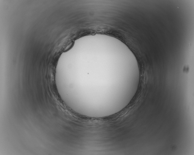 X0000110771058200906150949