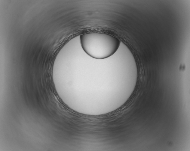 X0000110771060200906150949