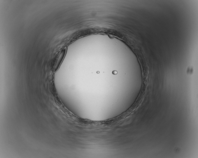 X0000110771061200906150949