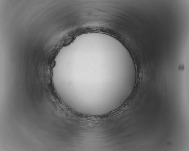 X0000110771062200906150949