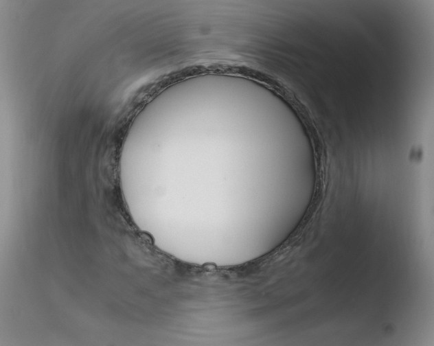 X0000110771063200906150949