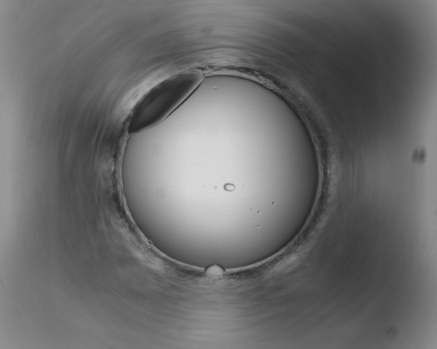 X0000110771065200906150949